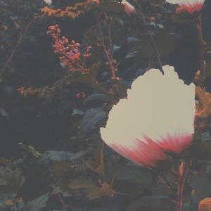 Meet your Posher, Kd